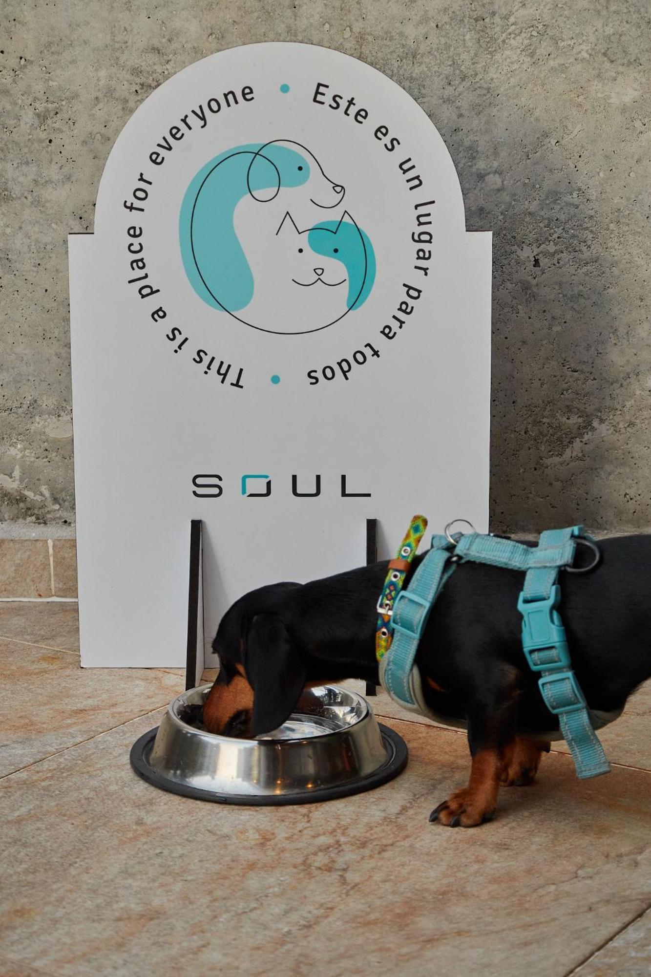 Soul Lifestyle Hotel Меделин Екстериор снимка